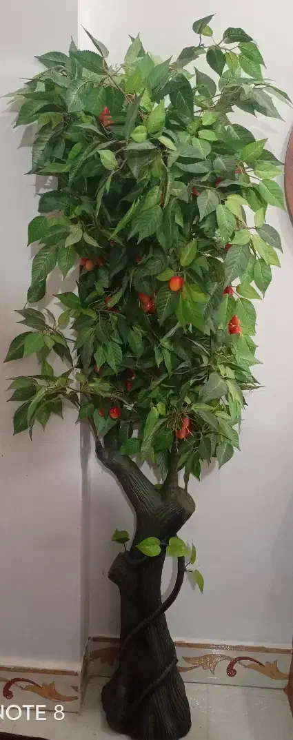 درختچه کاملانو وقابل شست وشو (عکس روکامل باز کنید)|گل مصنوعی|چابهار, |دیوار