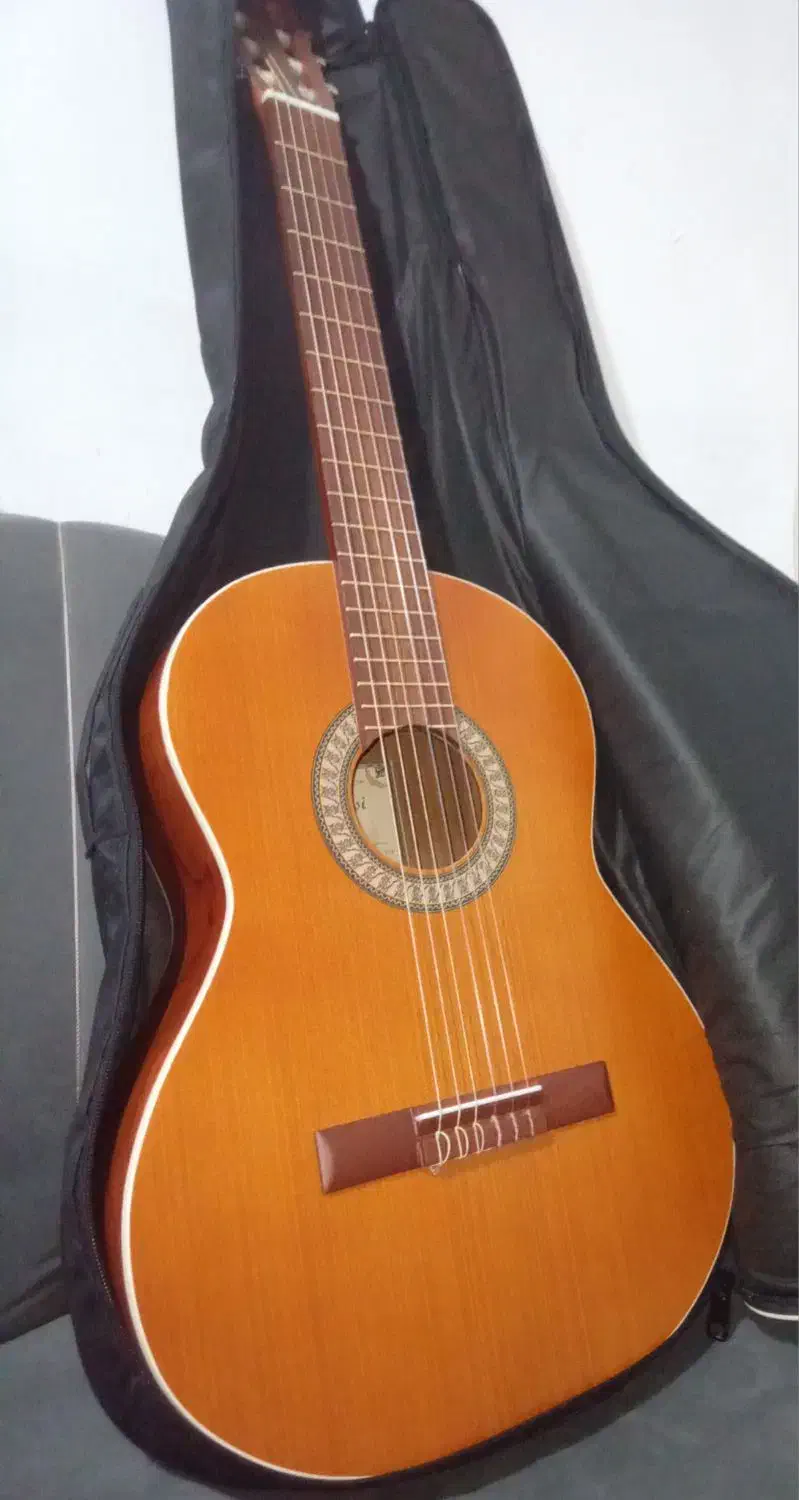 گیتار|گیتار، بیس، امپلیفایر|لاهیجان, حاجی آباد|دیوار