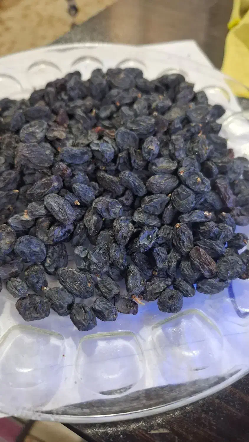 فروش انواع کشمش طلایی خرمایی|خوردنی و آشامیدنی|ابهر, |دیوار