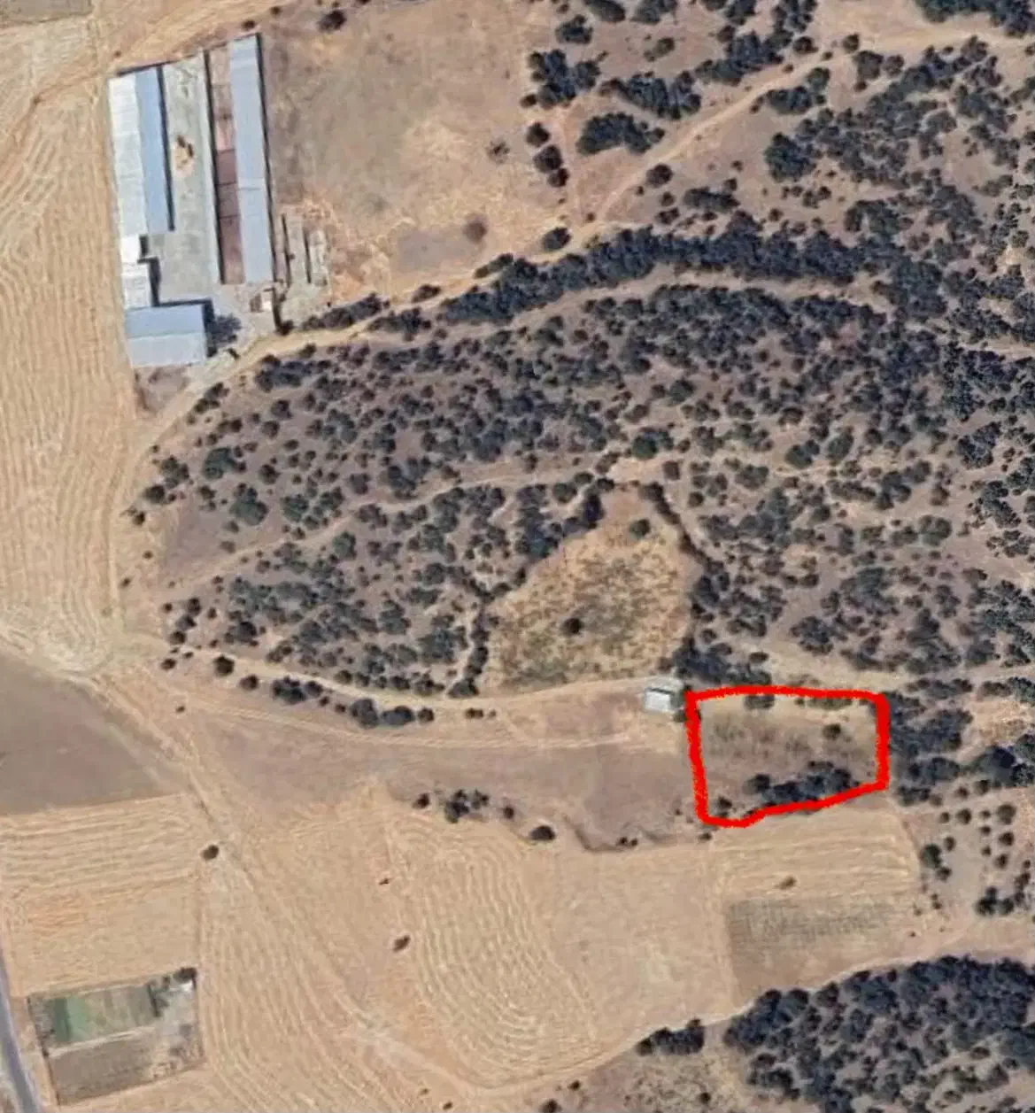 باغ انگور|فروش زمین و ملک کلنگی|خاو و میرآباد, |دیوار