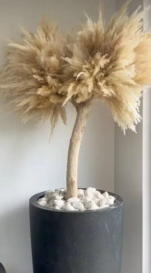 گل تزئینی شیک|گل مصنوعی|لاهیجان, رجایی|دیوار