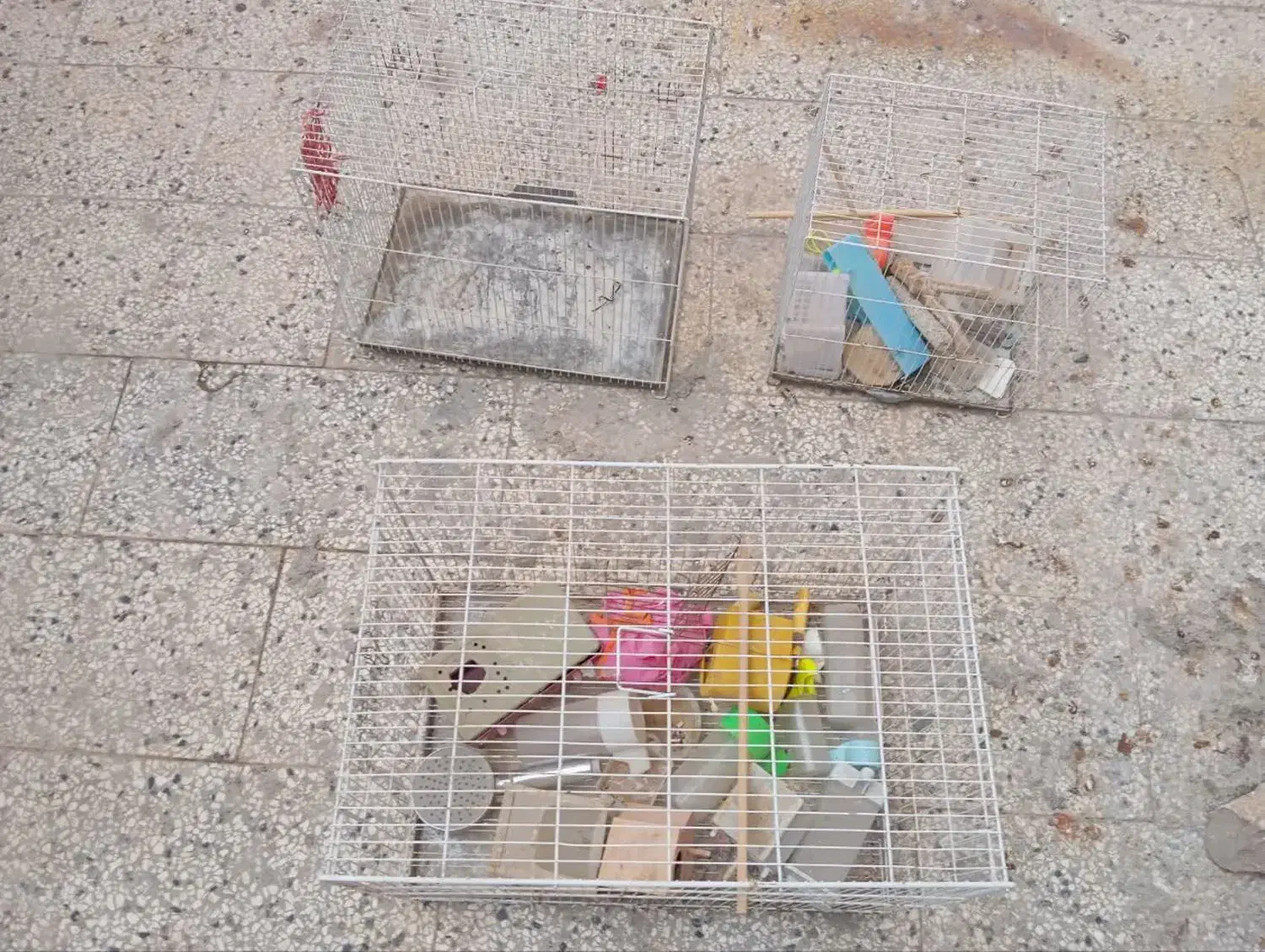 قفس|لوازم جانبی حیوانات|قوچان, |دیوار