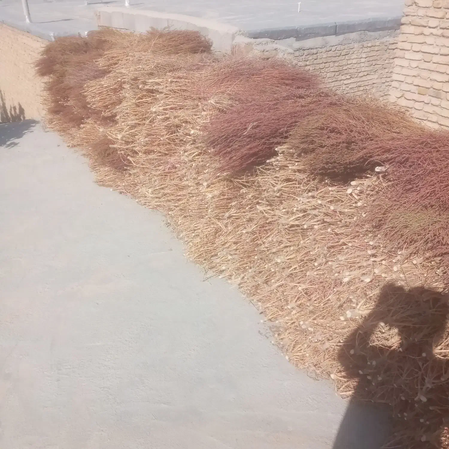 جاروی شهرداری|لوازم نظافت|آشخانه, |دیوار