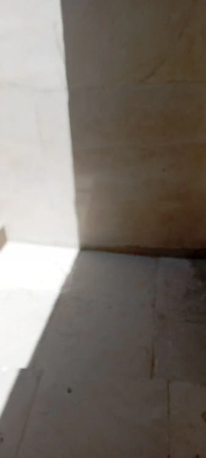 کاشی کارهستم|خدمات پیشه و مهارت|زهک, |دیوار