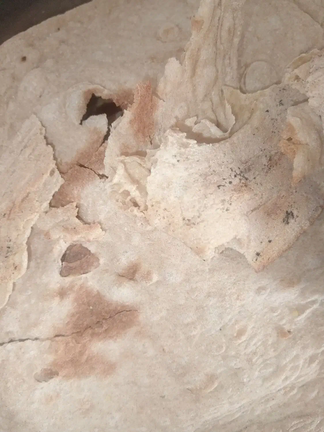 نان خشک کیلو 40|لوازم جانبی حیوانات|سبزوار, کوی بهار|دیوار