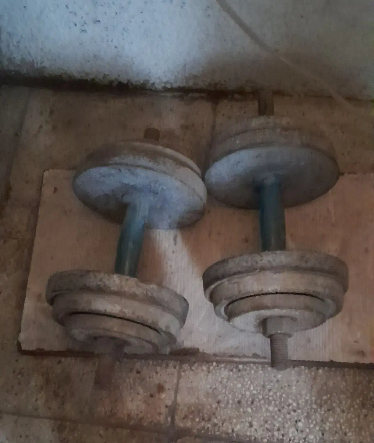 دمبل|تجهیزات ورزشی|تهران, شهران شمالی|دیوار