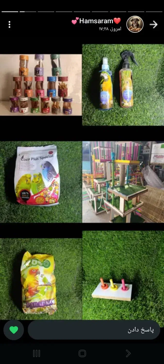 لوازم پرندگان|لوازم جانبی حیوانات|لاهیجان, کوی زمانی|دیوار