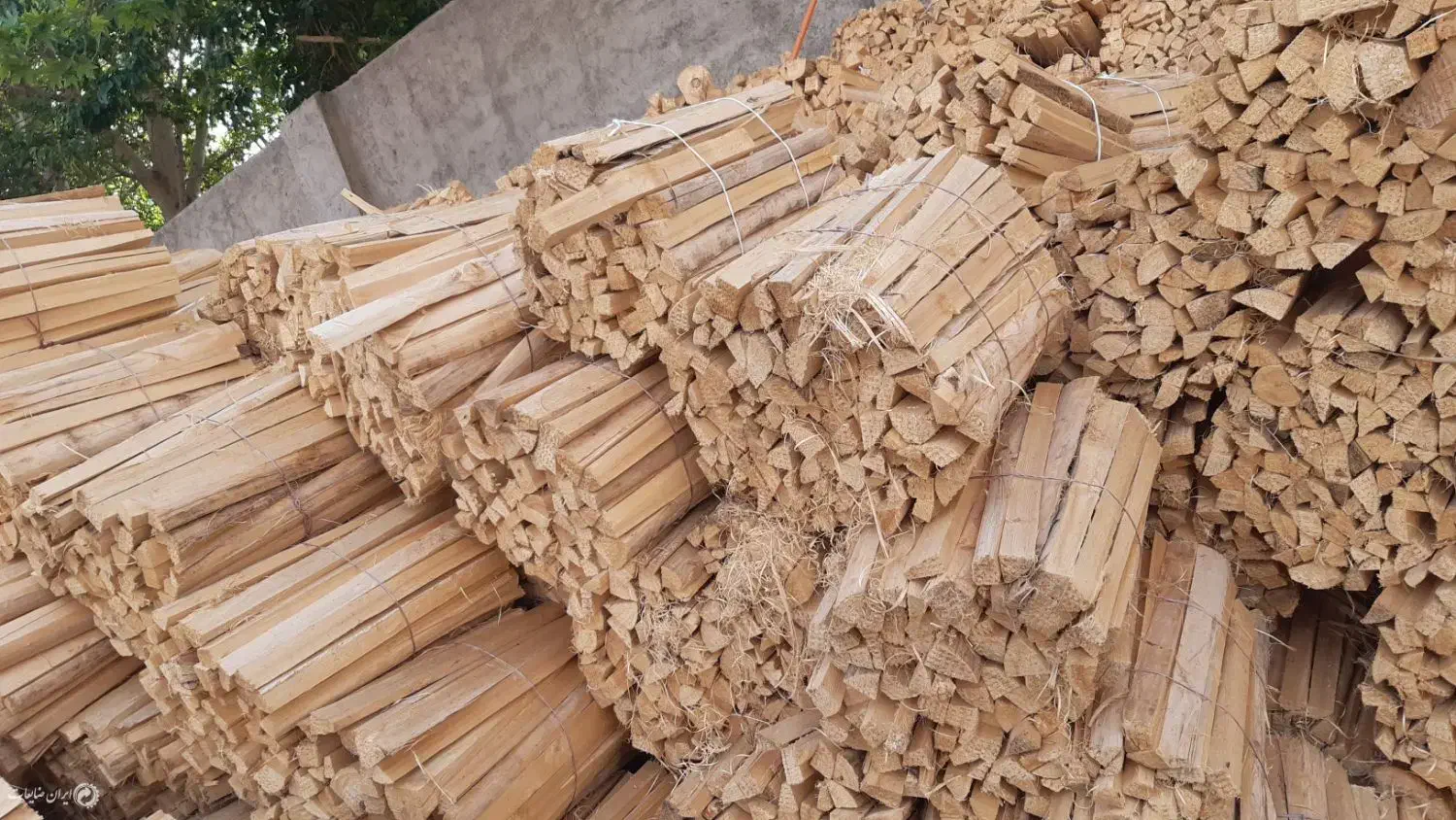 خریدار چوب خشک|خدمات باغبانی و درختکاری|محمودآباد, |دیوار