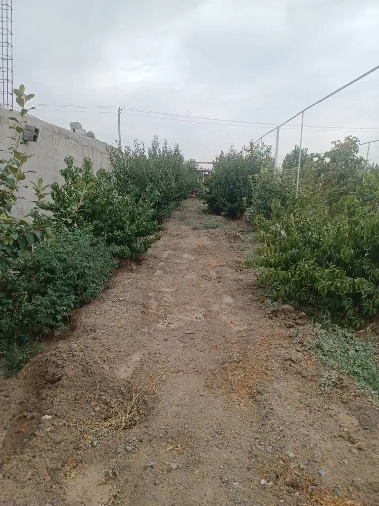 باغ۱۵۰۰متر جاده شیرین عسل|فروش خانه و ویلا|شبستر, |دیوار