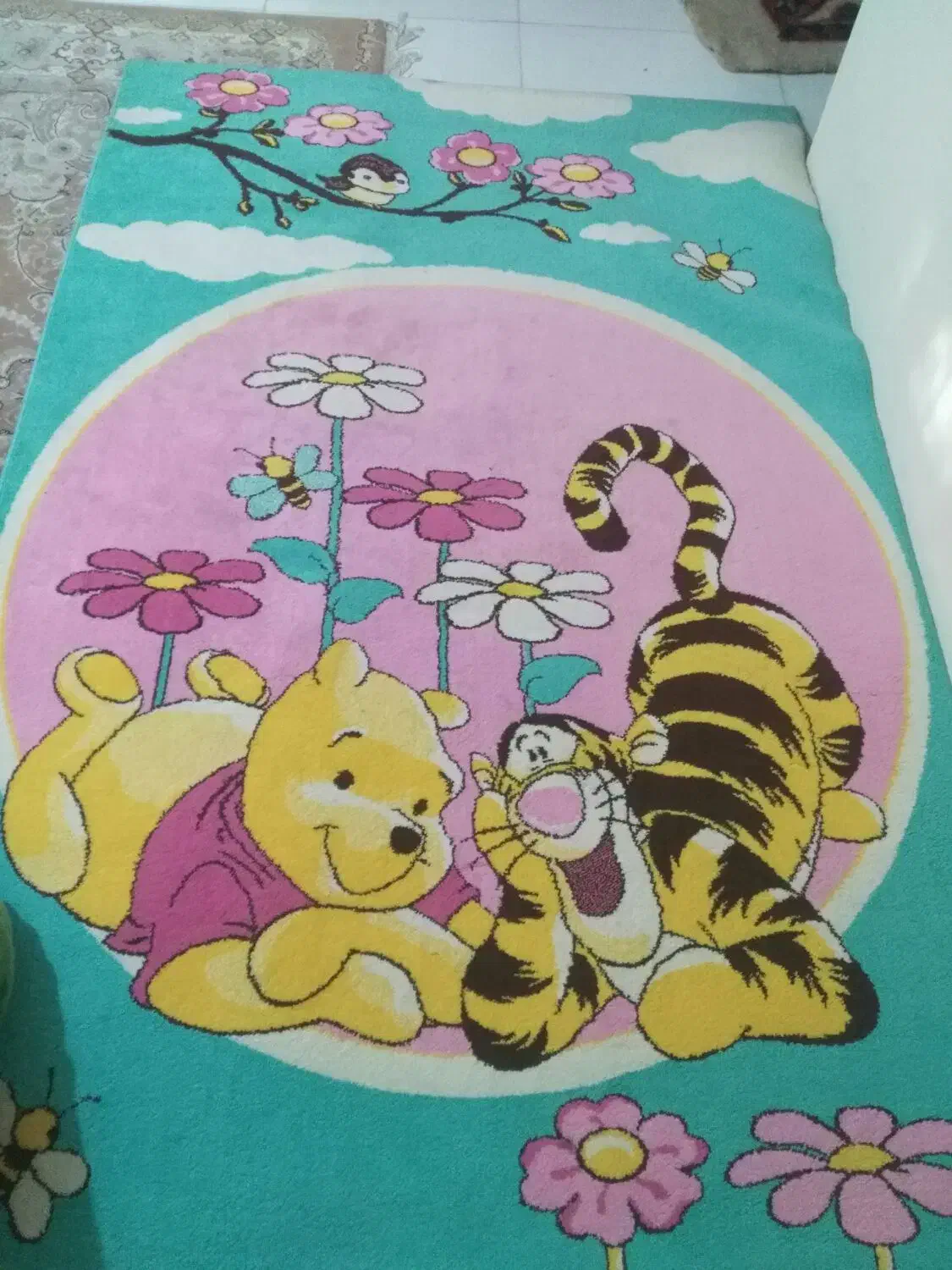 فرش اتاقاتاق کودک 4متری  سالم|فرش|پرند, فاز ۶|دیوار