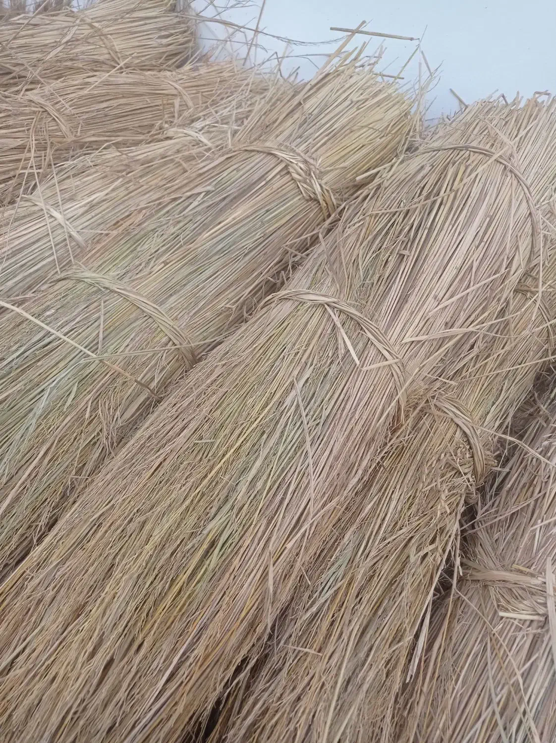 فروش 110عدد کلش به قیمت هر عدد 130هزار تومان|کنسول، بازی ویدئویی و آنلاین|شاندرمن, |دیوار