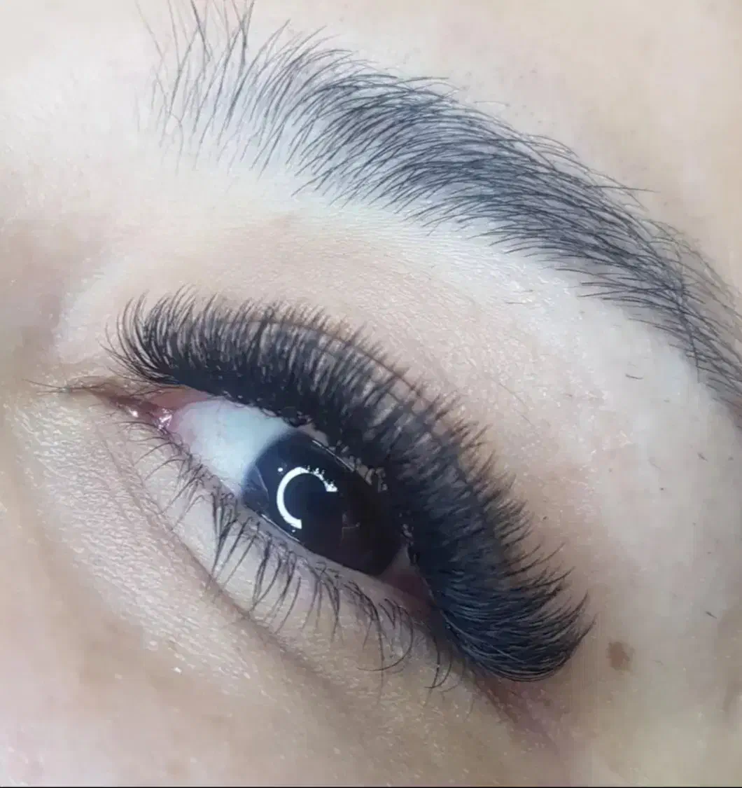 خدمات حرفه‌ای اکستنشن مژه و لیفت|خدمات آرایشگری و زیبایی|بهبهان, |دیوار