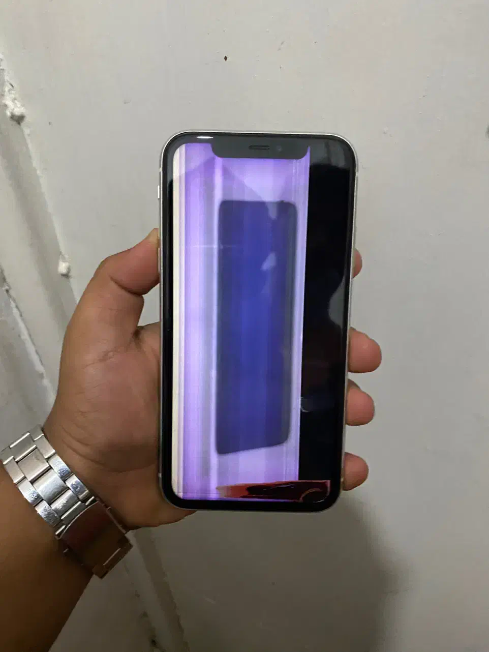 iPhone 11 normal|موبایل|فسا, |دیوار