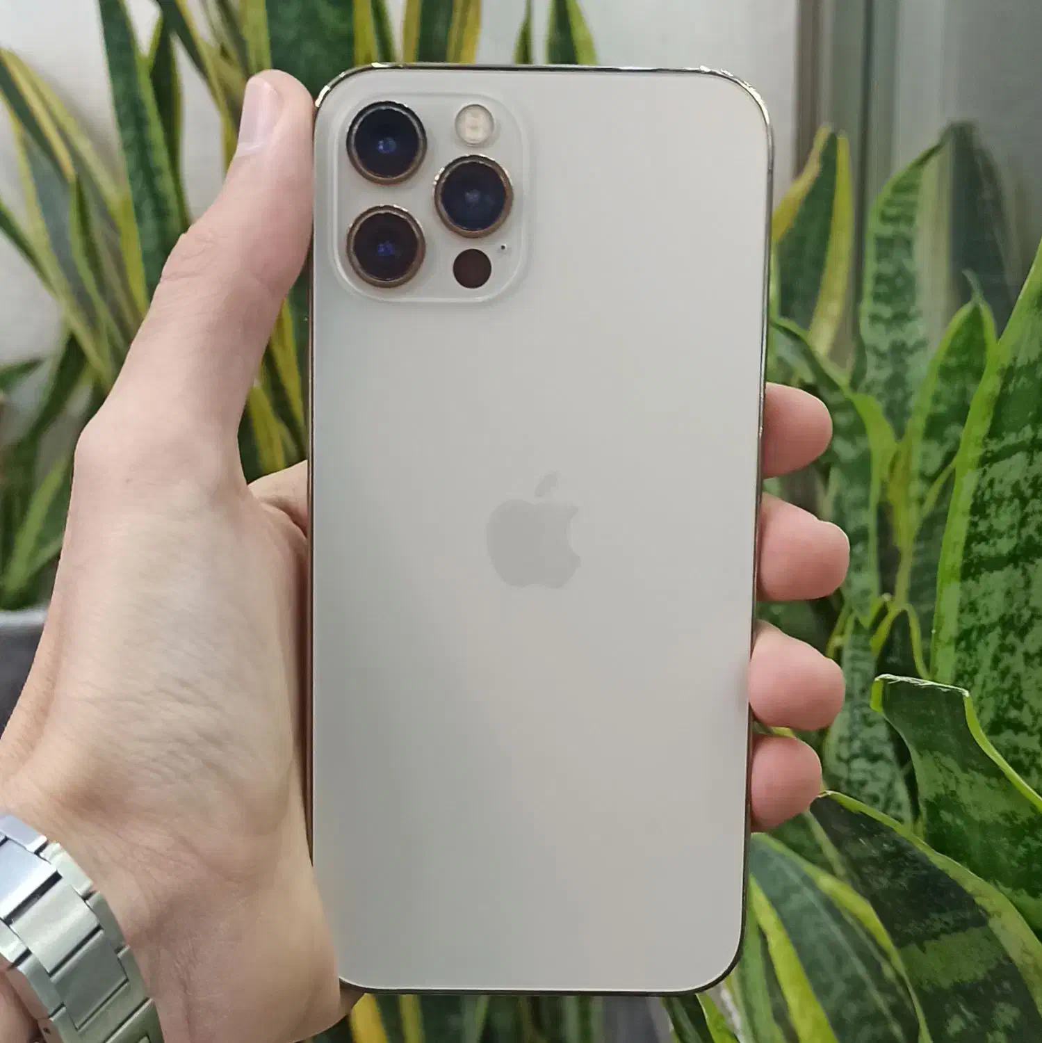 آیفون ۱۲ پرو رنگ گلد بدون پیش پرداخت و اقساطی|موبایل|اصفهان, احمدآباد|دیوار