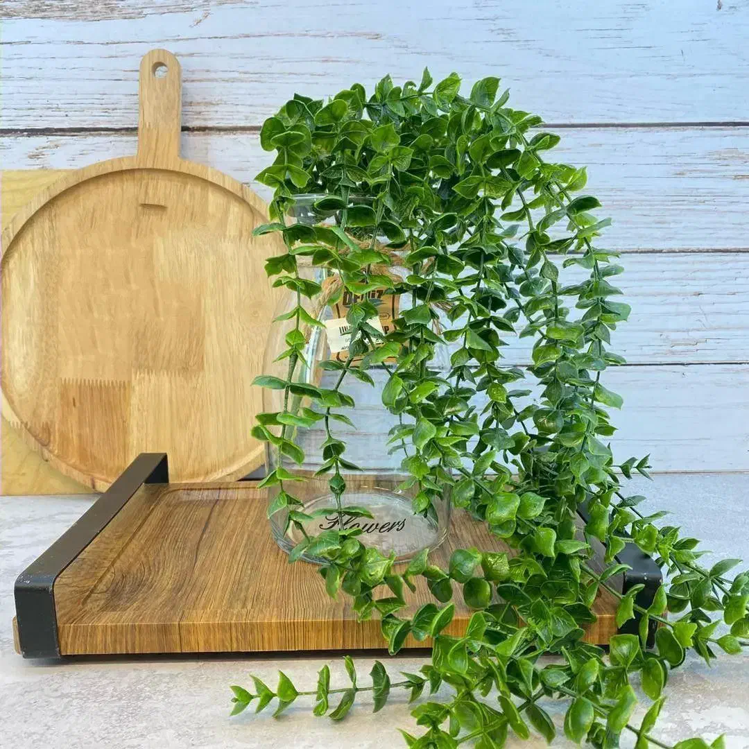 شمشاد ۱۶ شاخه|گل مصنوعی|اهواز, آریاشهر|دیوار