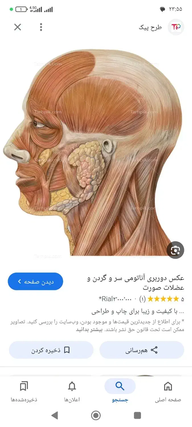 در مورد رفع خستگی سر گردن|فعالیت داوطلبانه|شبستر, |دیوار