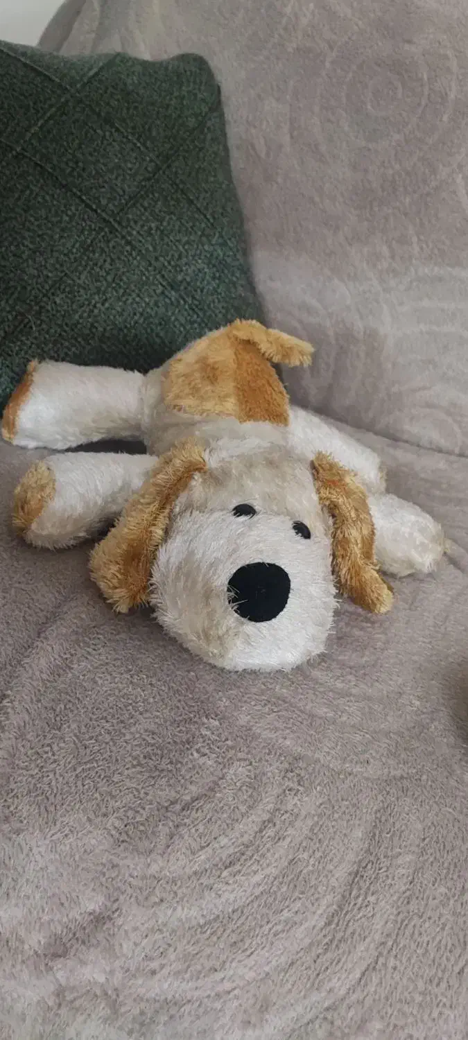 سگ عروسک|اسباب‌‌بازی|تبریز, |دیوار