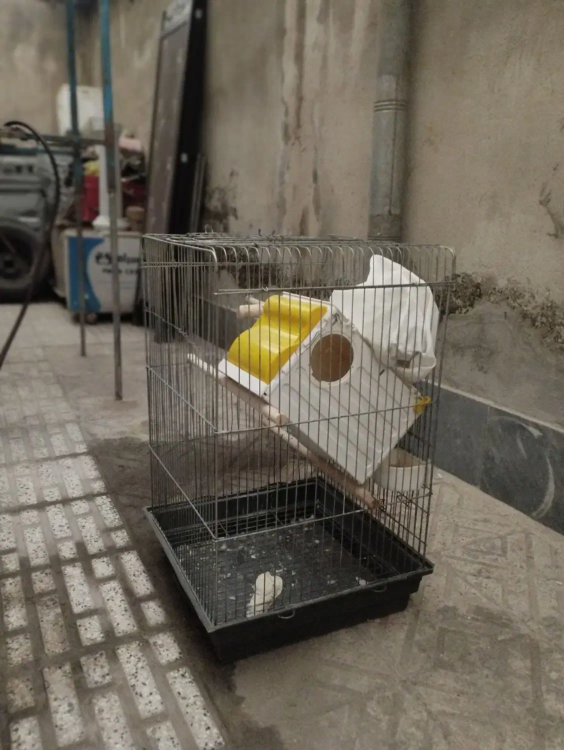 قفس پرنده با تمام لوازم|لوازم جانبی حیوانات|فردیس, شهرک شهید حسینی|دیوار