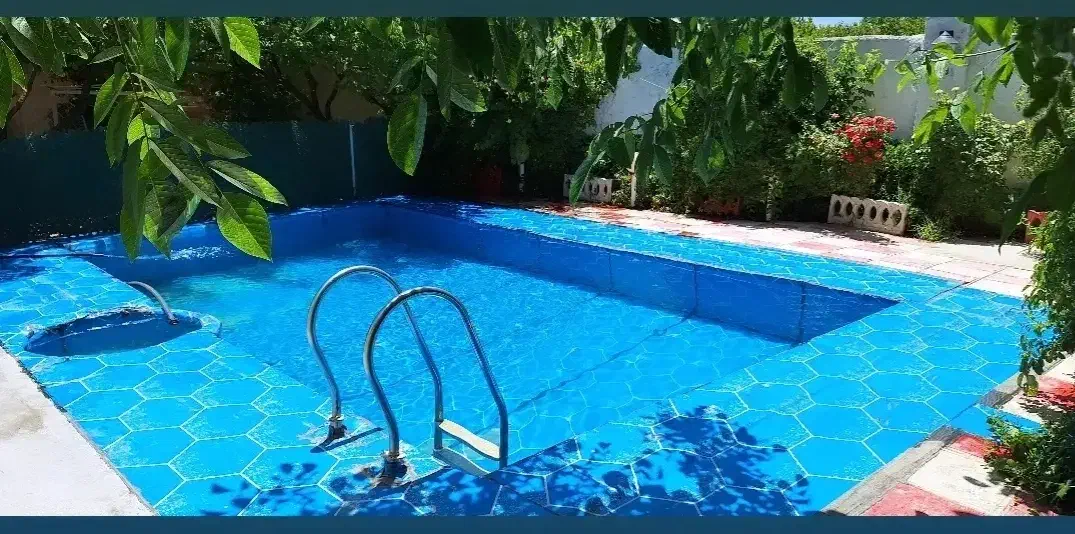 مربی یا راننده واسه اموزش نیاز دارم|خدمات آموزشی|سنندج, |دیوار