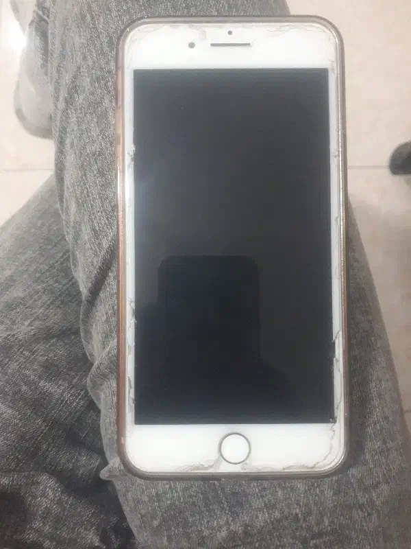 آیفون ۷پلاس|موبایل|ماکو, |دیوار