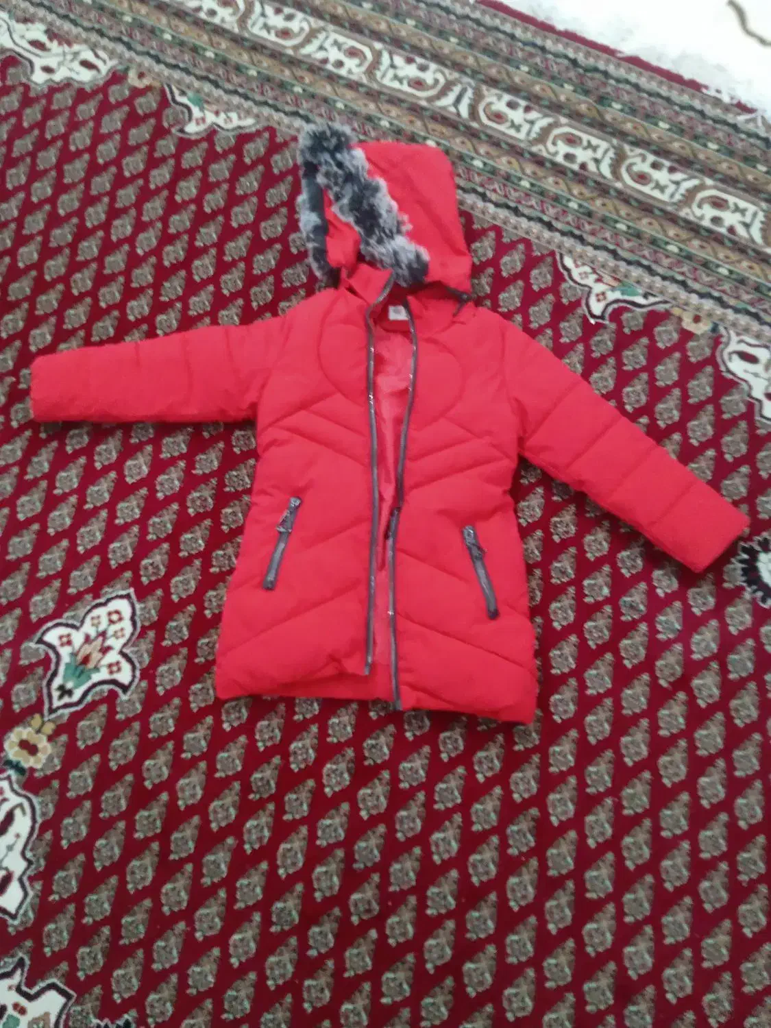 کاپشن|لباس|دورود, |دیوار