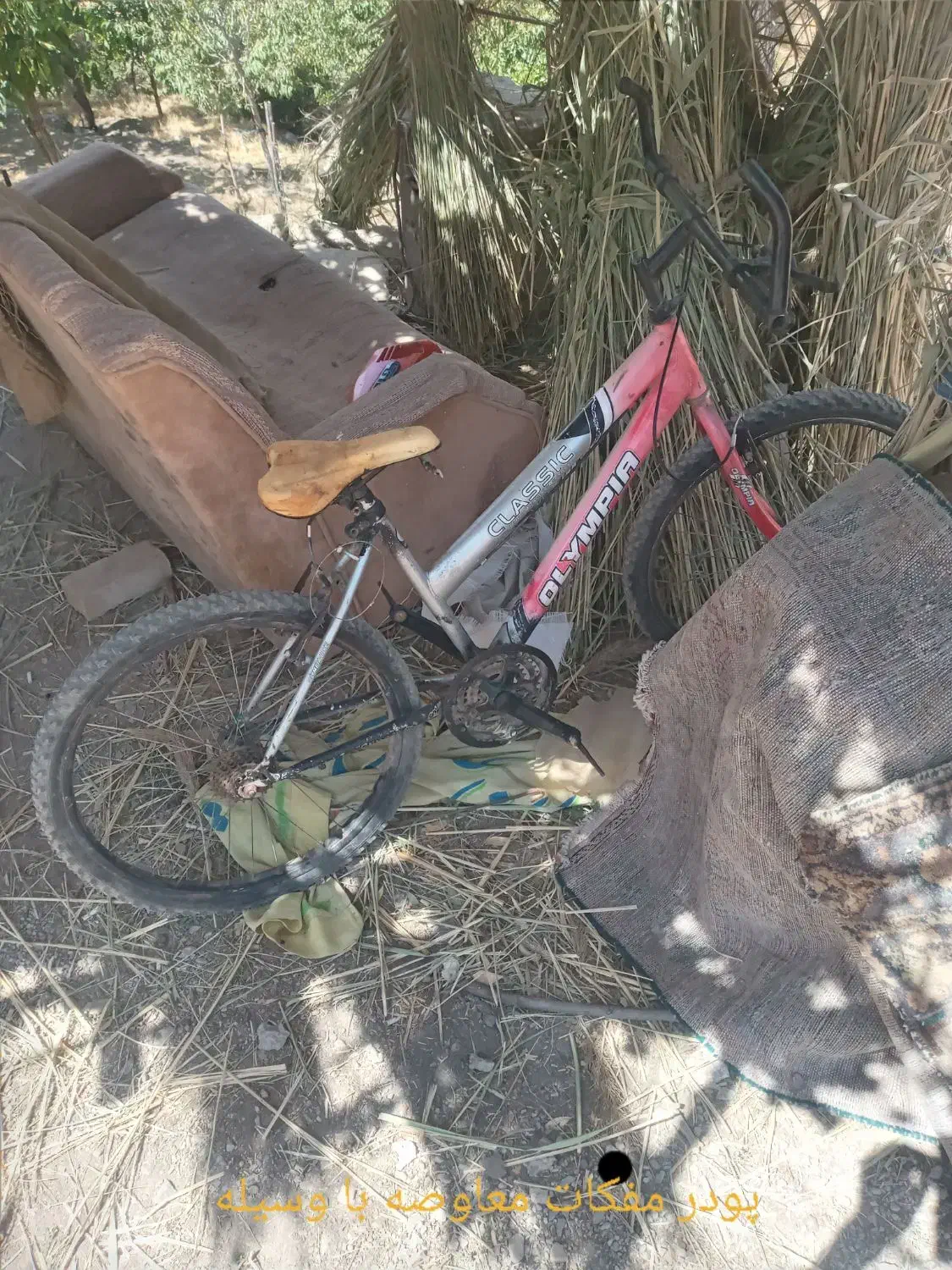 دوچرخه قدیمی عکس چک کنید|کلکسیون اشیاء عتیقه|خاش, |دیوار