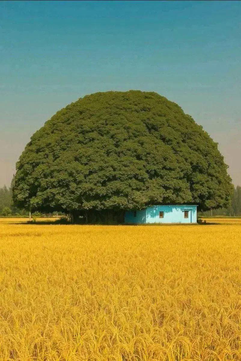 همفکری و رفع مشکلات|فعالیت داوطلبانه تحقیقاتی|سنندج, |دیوار