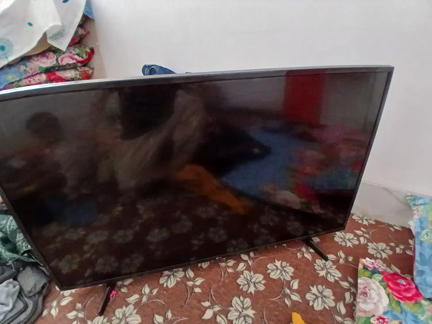 تلوزیون ال جی|تلویزیون و پروژکتور|یزد, |دیوار