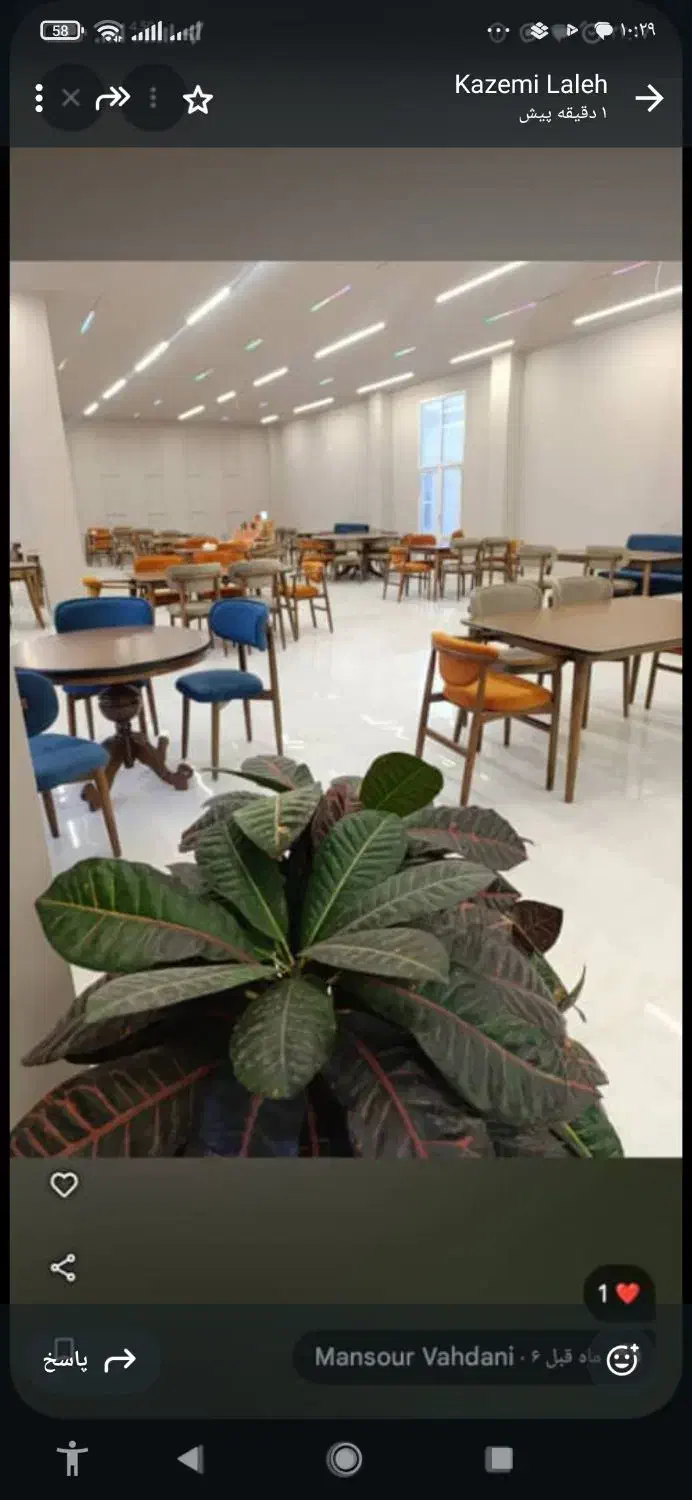 تالار و سالن پذیرایی|خدمات پذیرایی، مراسم|قشم, |دیوار