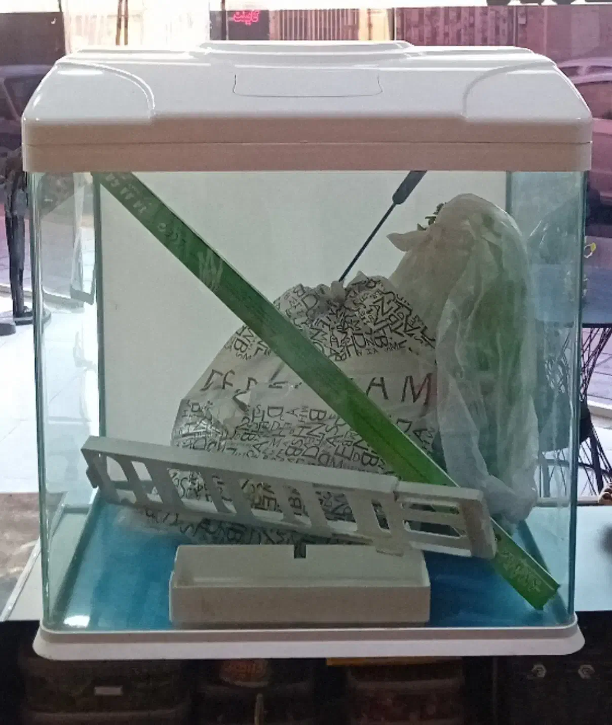 آکواریوم|ماهیگیری|قرچک, مهدیه|دیوار