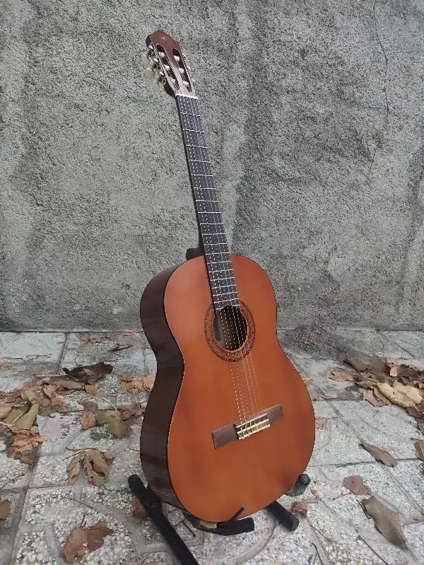 گیتار یاماها c40|گیتار، بیس، امپلیفایر|بجنورد, |دیوار