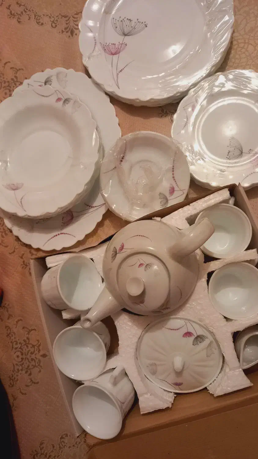 سرویس اکوپا|ظروف سرو و پذیرایی|دوگنبدان, |دیوار