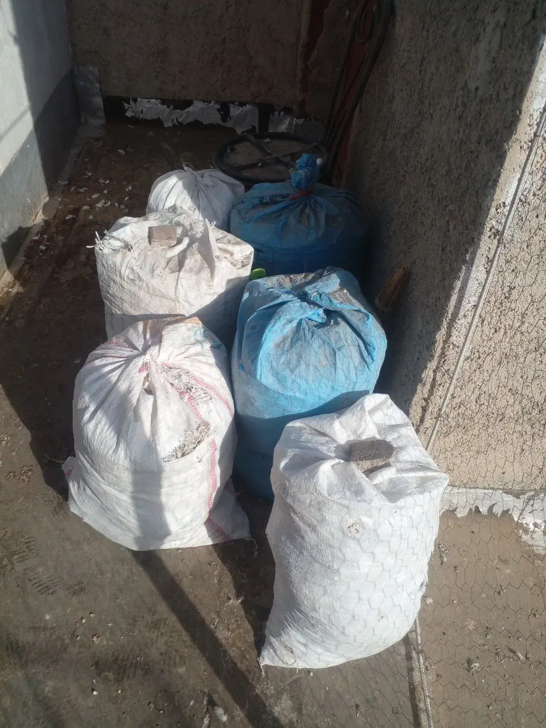 کود کبوتر....پیشوا|خدمات باغبانی و درختکاری|پیشوا, |دیوار