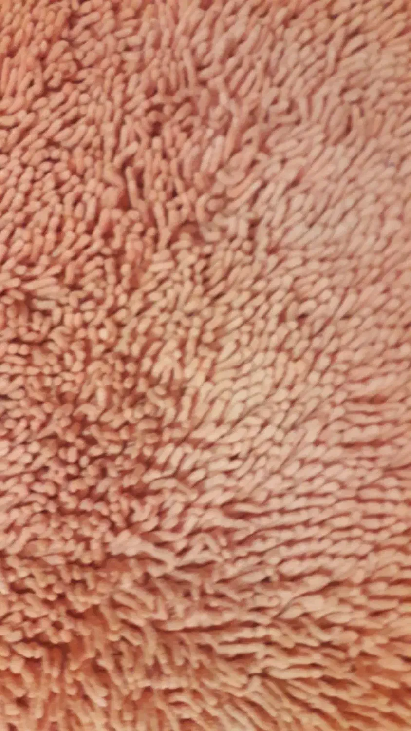 قالیچه - گونی بافی|گلیم، جاجیم، گبه|تهران, نصرت|دیوار