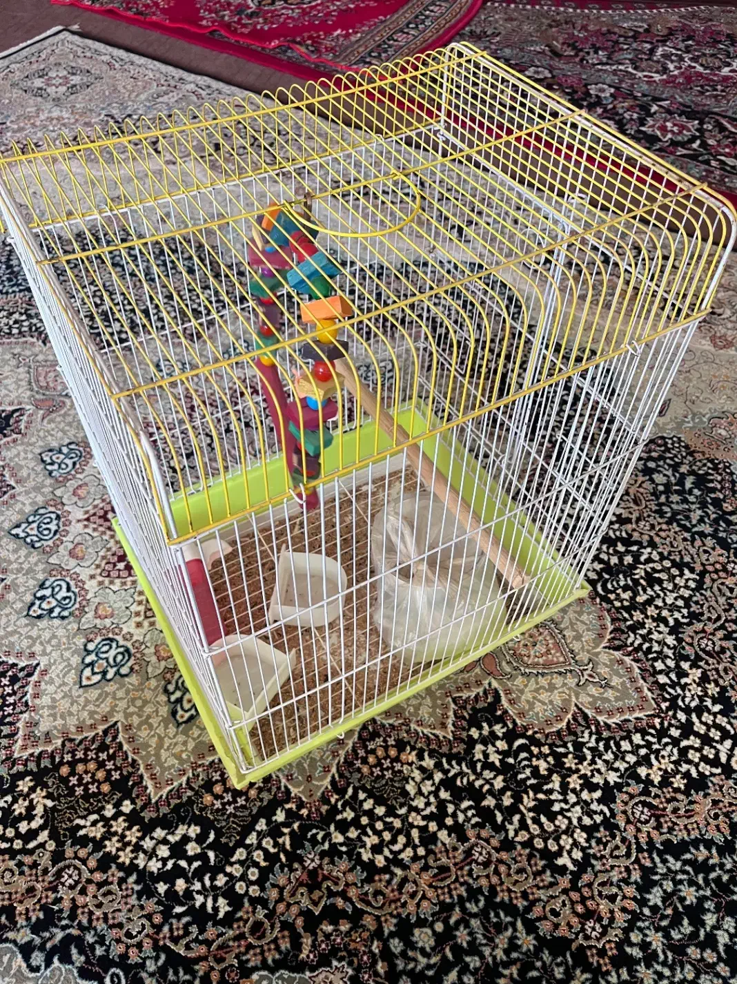 قفس پرنده با تمام تجهیزات|لوازم جانبی حیوانات|ابهر, |دیوار