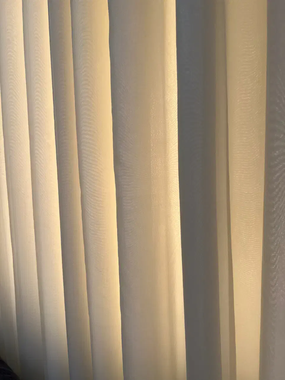 پرده|پرده، رانر، رومیزی|بندرعباس, |دیوار