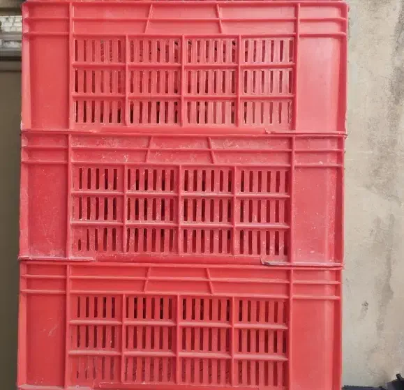 سبد برای کشتارگاه نو|فروشگاه و مغازه|اسلامآباد غرب, |دیوار