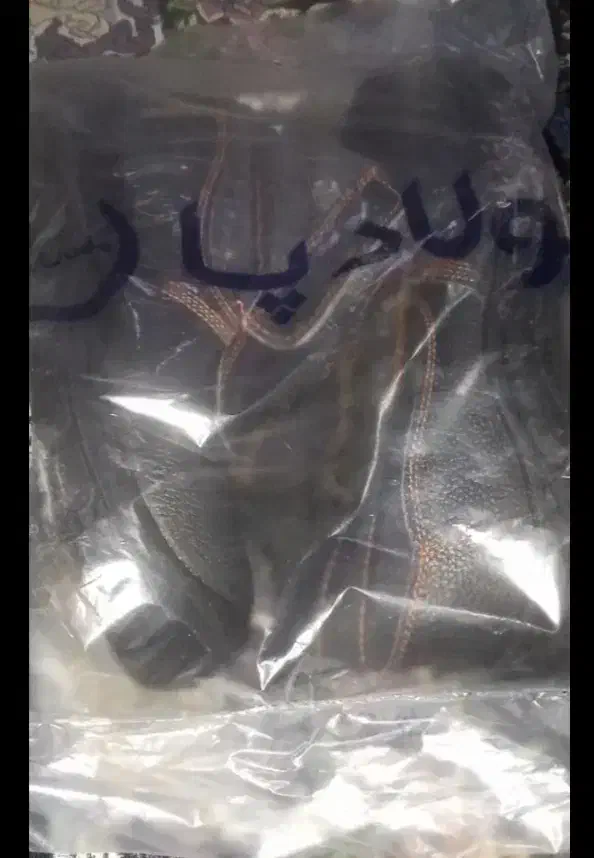 کفش سایز 43|کیف، کفش، کمربند|شوشتر, |دیوار