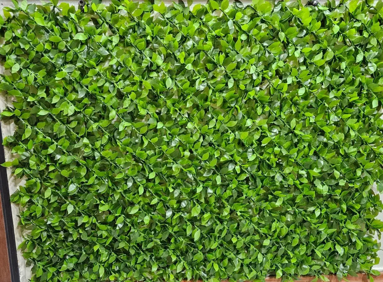 فنس برگی و خز ، پادری اسفنچی|مصالح و تجهیزات ساختمان|یزد, |دیوار