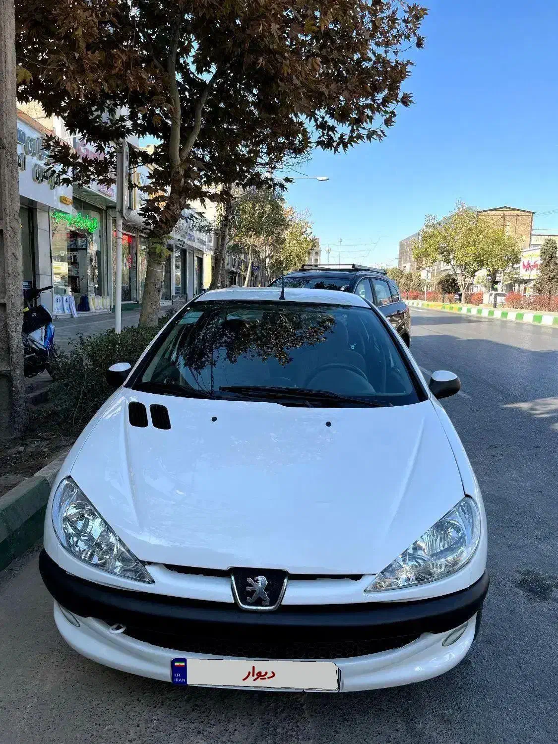 206 sd v8 مدل 95|خودرو سواری و وانت|مشهد, چهارچشمه|دیوار