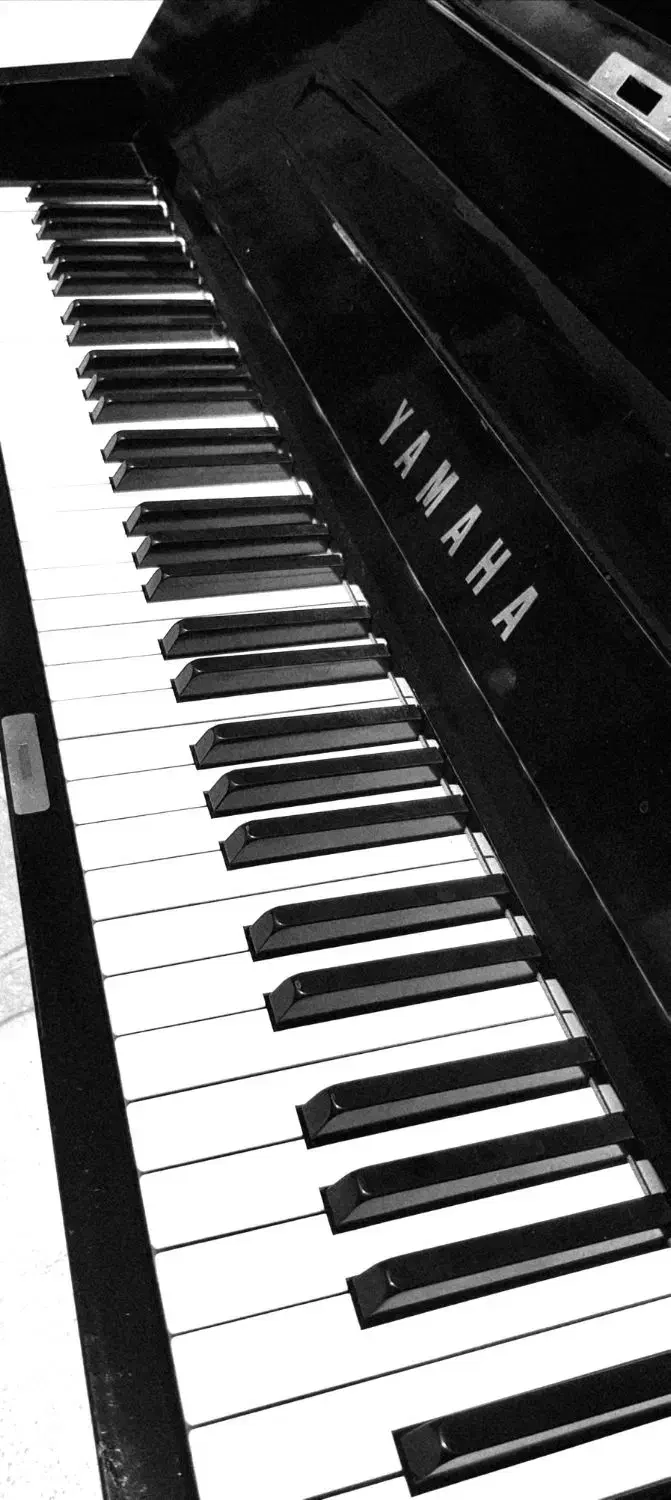 پیانو آکوستیک یاماها u1|پیانو، کیبورد، آکاردئون|صدرا-فارس, فاز ۱|دیوار