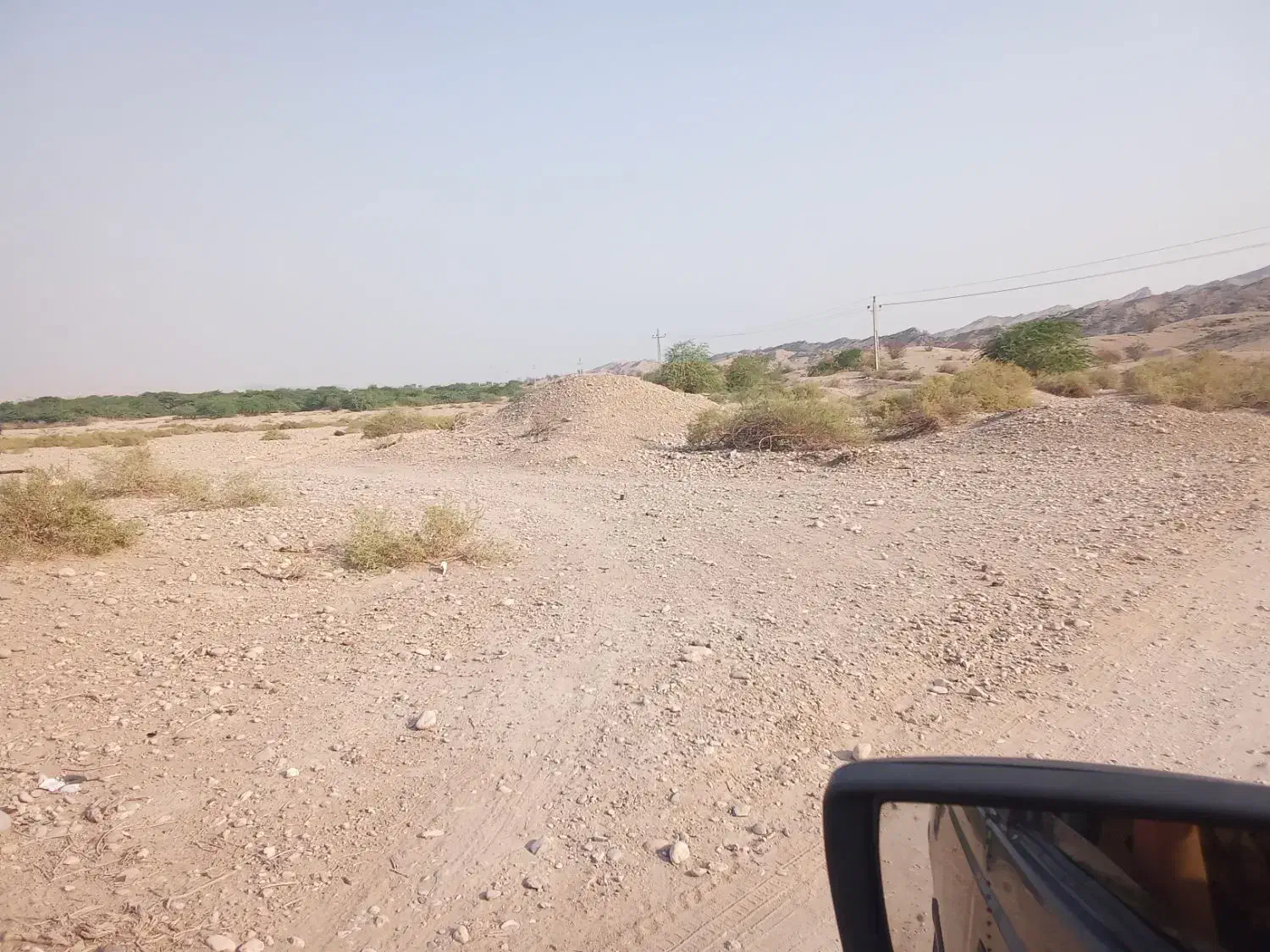 زمین کشاورزی|فروش دفتر صنعتی، کشاورزی، تجاری|فین, |دیوار