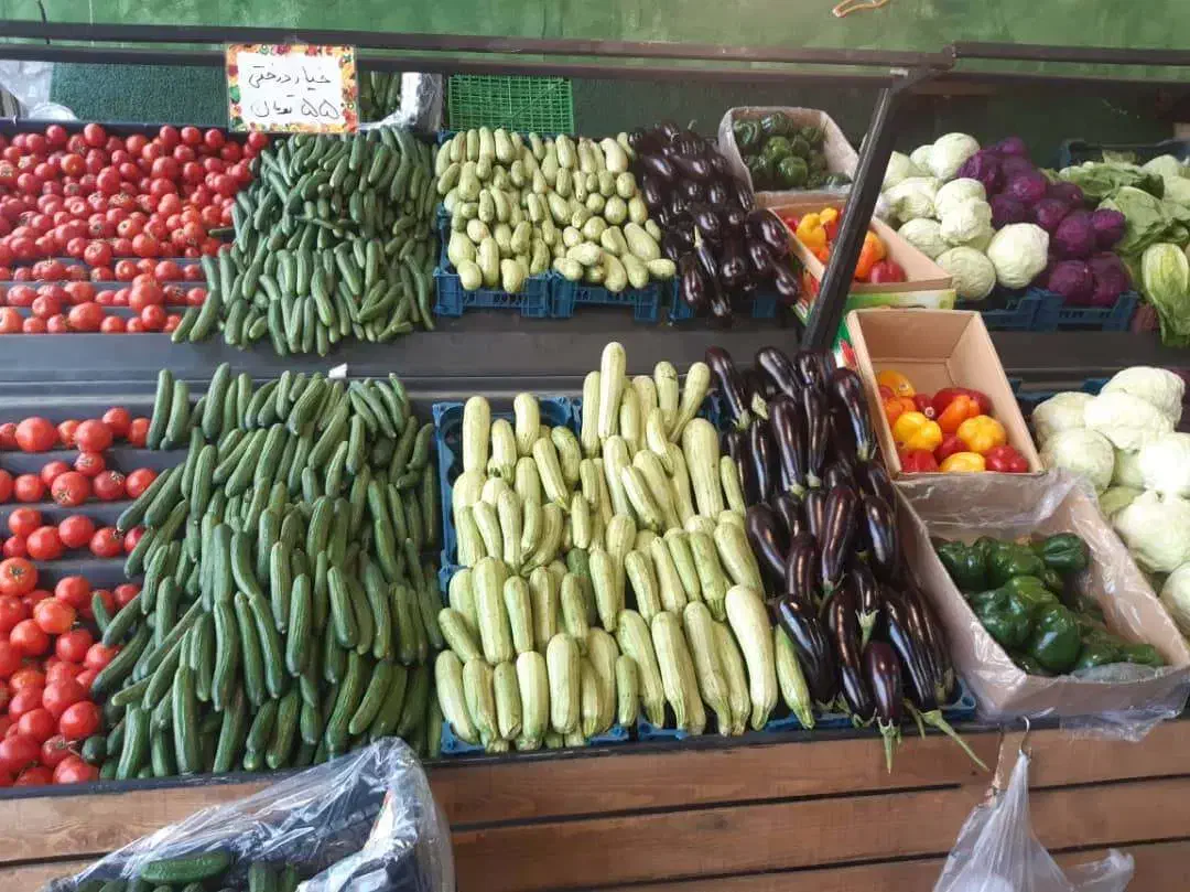 فروش طبق میوه فروشی|فروشگاه و مغازه|رشت, دیلمان|دیوار