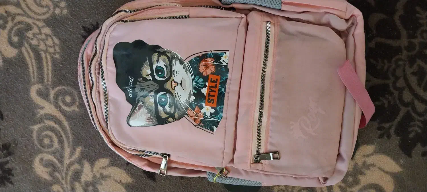 کیف|کیف، کفش، کمربند|ایلام, |دیوار