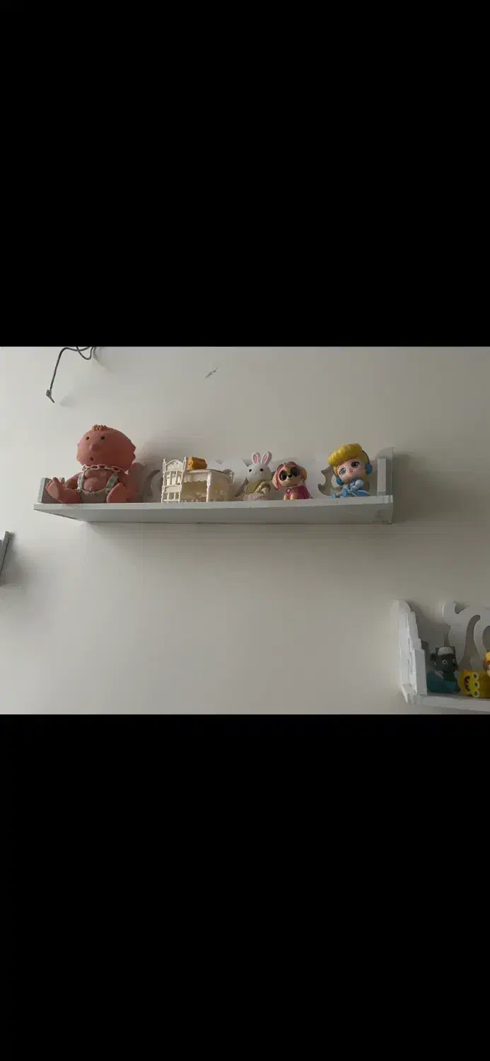 شلف|کتابخانه، شلف، قفسههای دیواری|تهران, صد دستگاه|دیوار