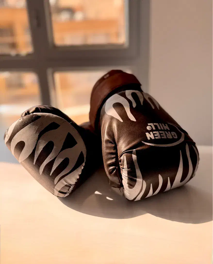 دستکش بوکس|تجهیزات ورزشی|مشهد, دانشجو|دیوار