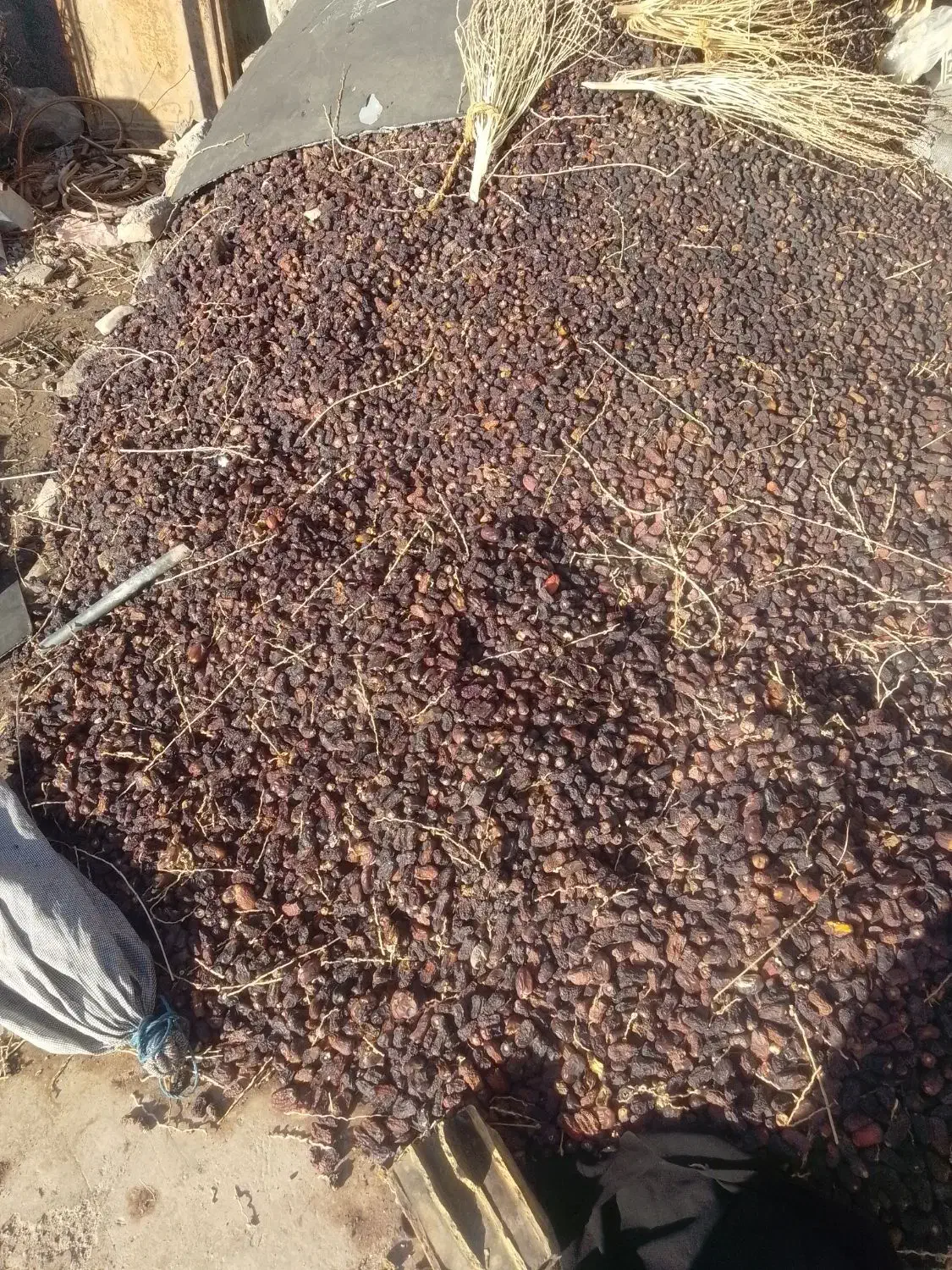 کده|عمدهفروشی|بم, |دیوار