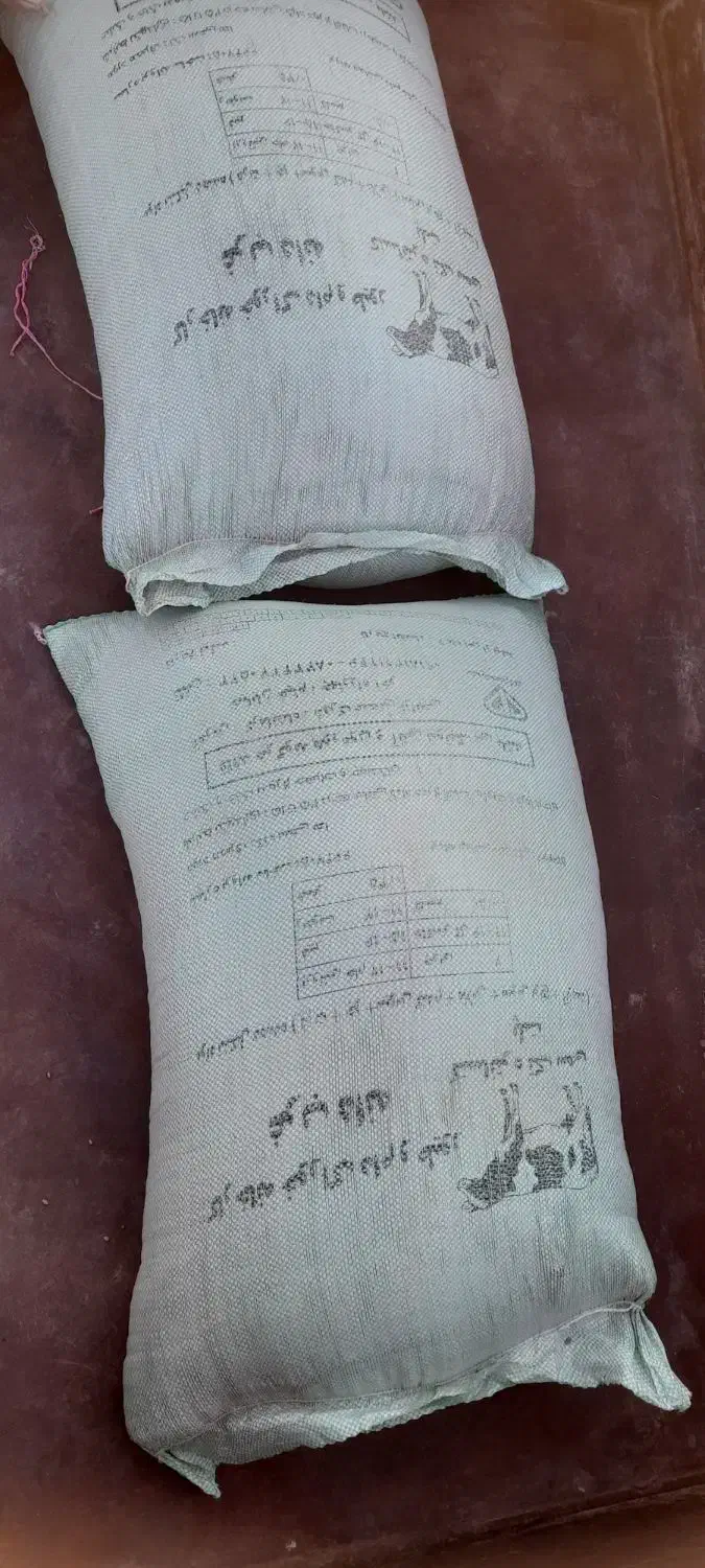 بذر گندم آبی میهنو گندم دیم باران در بیلوار|عمده‌فروشی|بیلوار, |دیوار