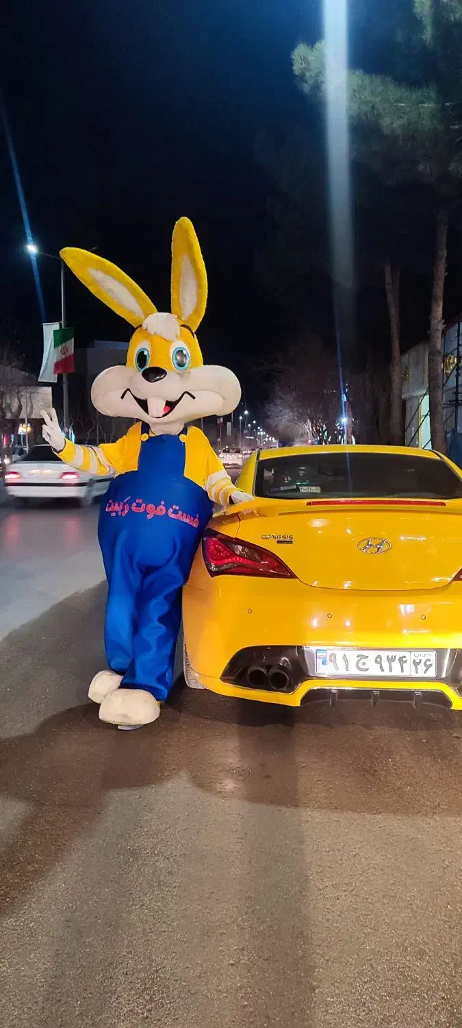 عروسک تن پوش|خدمات پذیرایی، مراسم|بجنورد, |دیوار