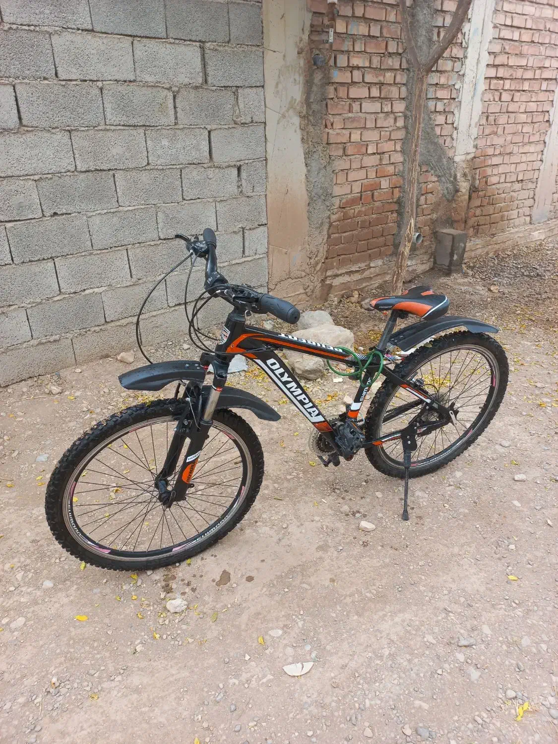 دوچرخه ۲۶ دنده ای|دوچرخه، اسکیت، اسکوتر|کرمان, |دیوار